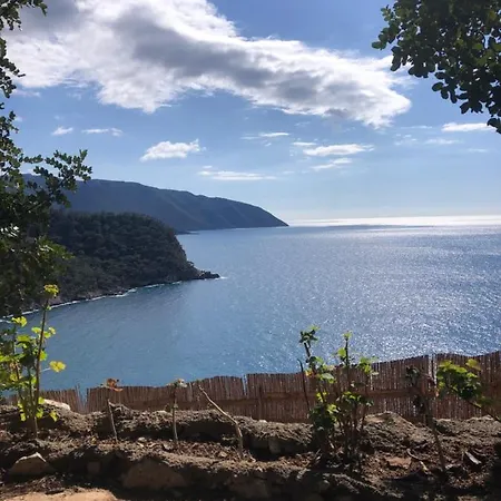 Kabak Uetopya Kamp Faralya