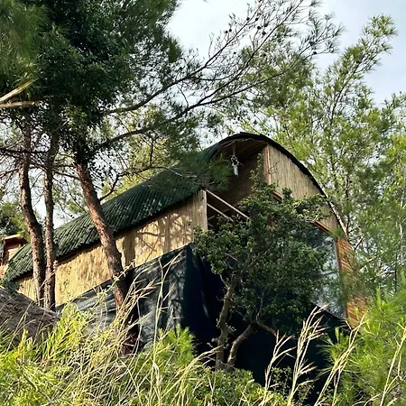 Отель Kabak Uetopya Kamp