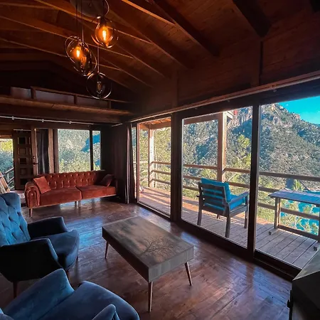 Kabak ütopya * Faralya