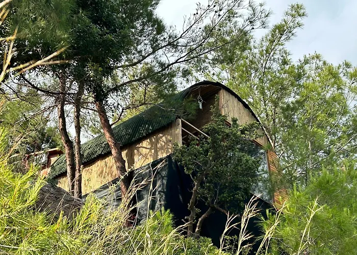 Отель Kabak Uetopya Kamp