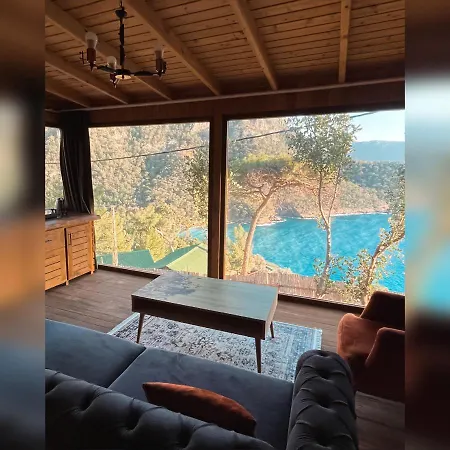 Kabak ütopya *