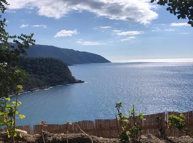 Kabak Uetopya Kamp Faralya